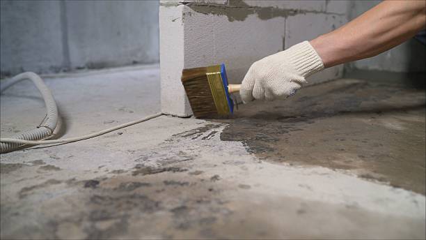 24/7 Emergency Wet Basement Repair experts in Roanoke, IN